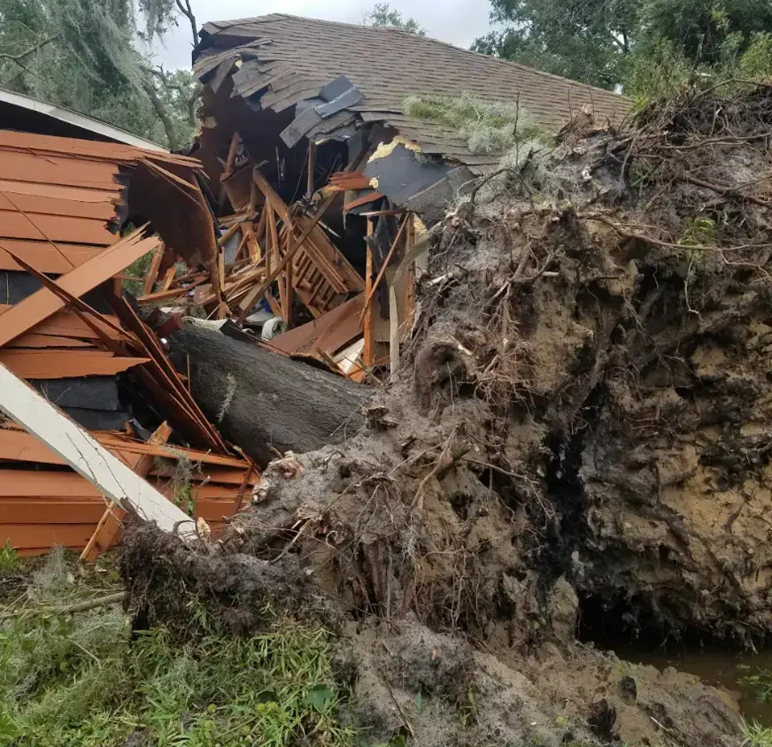 Storm-downed tree removed from a Kansas City home roof