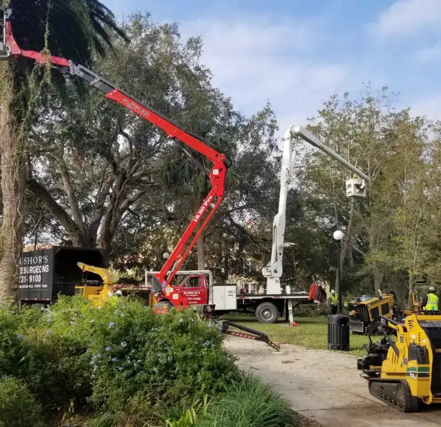 Country Club Tree Service crew and equipment on a Kansas City job